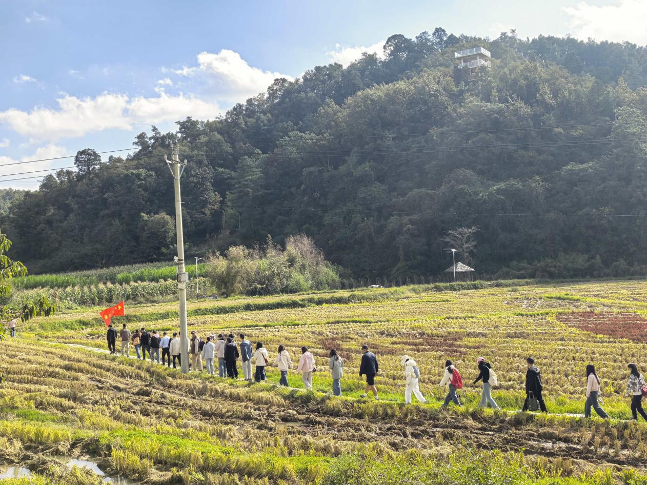 8914638eb09f0aa10acea0422faa06ce